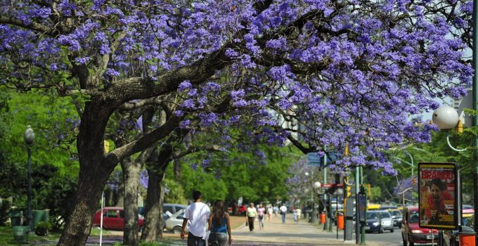 contagem regressiva primavera